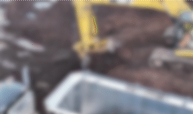 Banner Dalhuisen