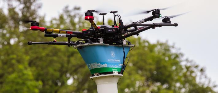Eikenprocessierups bestrijden met drone