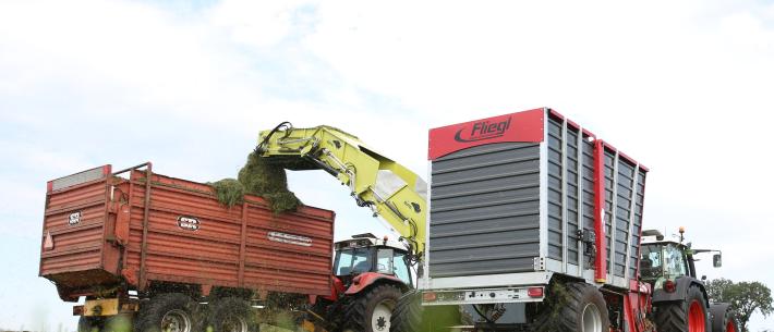 fliegl buffel
