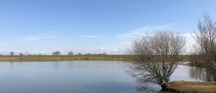 uiterwaarden