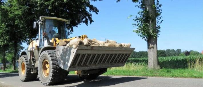 Jakobs Geijsteren wateroverlast