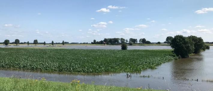 Wateroverlast Gelderland