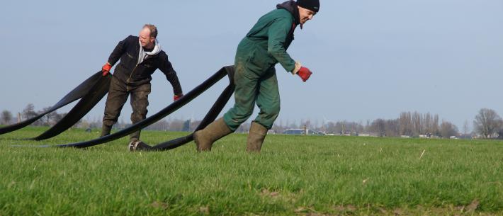 samenwerken