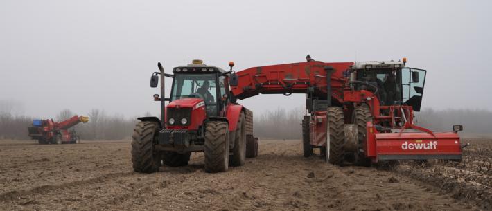bietenrooien op land