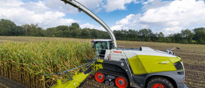 Claas Jaguar terratrac in de mais 