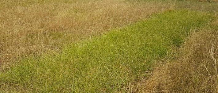 for farmers Topgrass hydro power 