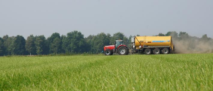 landschap