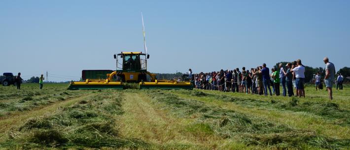 Grasdag hoofdplaat