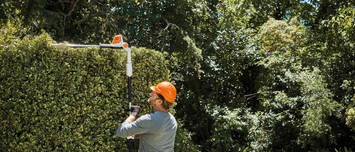 stihl accuheggenschaar 