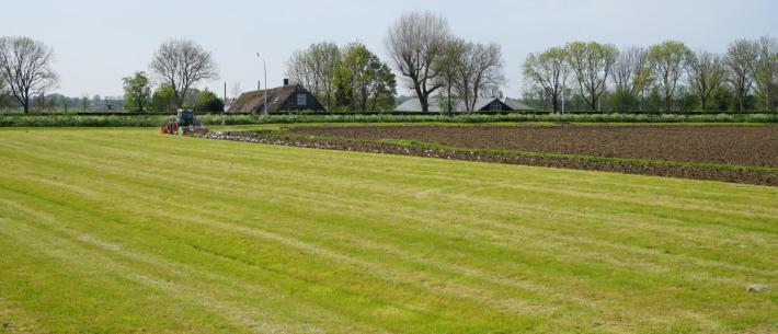 Grasland