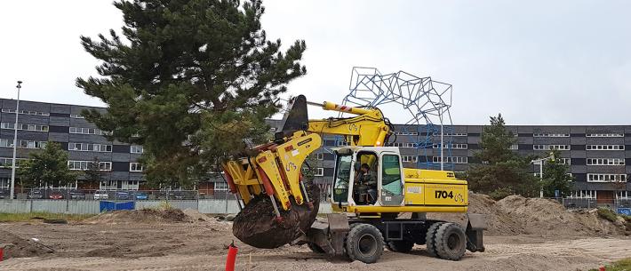 groenvoorziening, boom, 2023