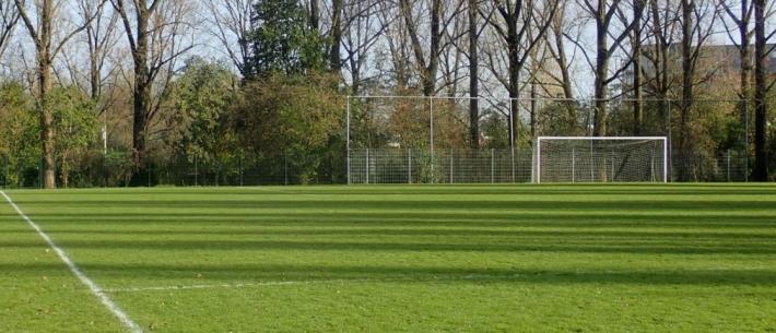 sportveld