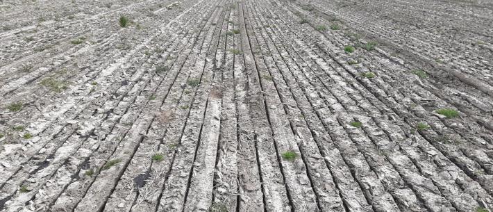 voorbeeld wel goed