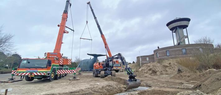 zwarte vinvis