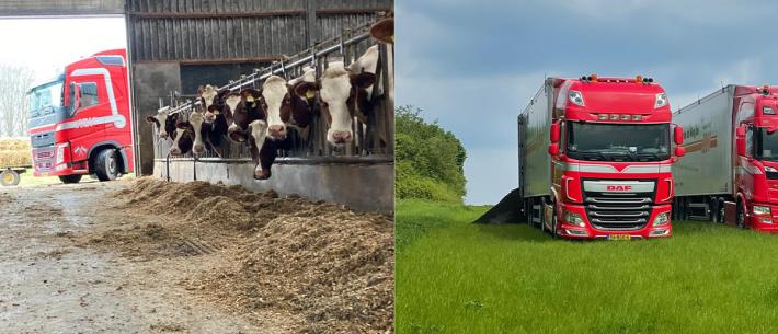 Illustratie mestexport vaste mest, Johan Mostert