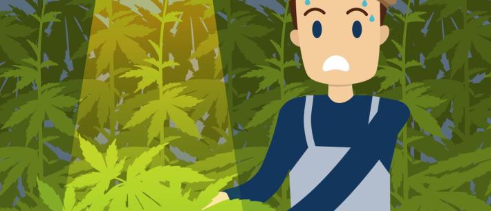 Vertrouwenspersoon Criminaliteit 