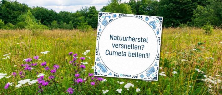 natuurherstel tegel