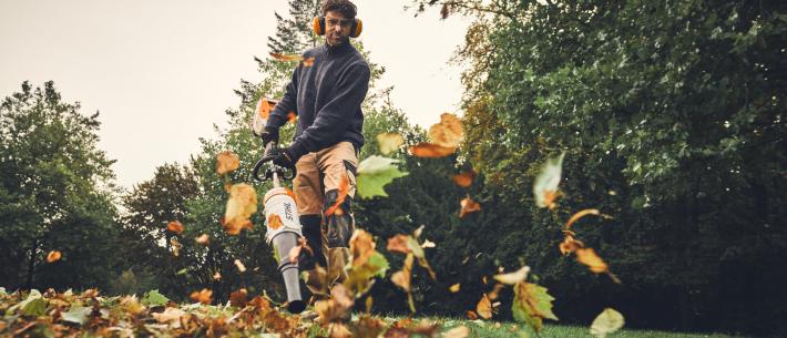 stihl baldblazer 