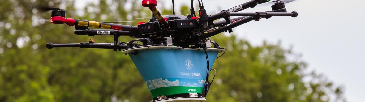 Eikenprocessierups bestrijden met drone