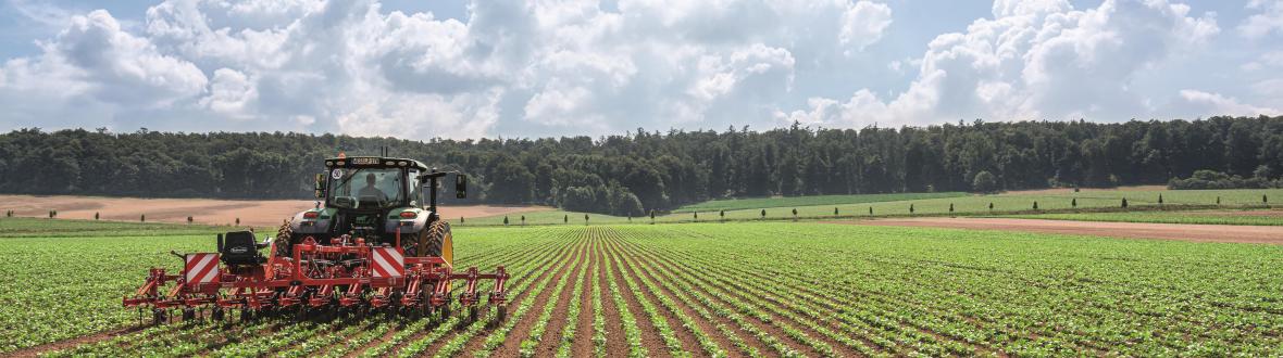 steketee schoffelen 