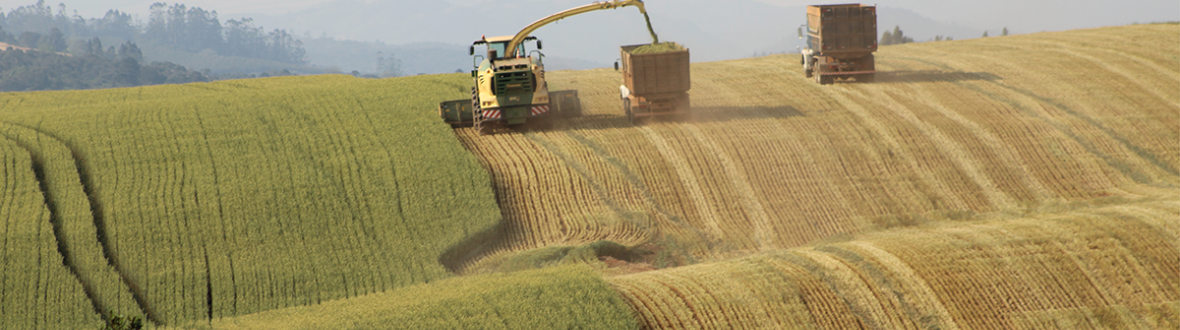 krone actiefoto brazilie 