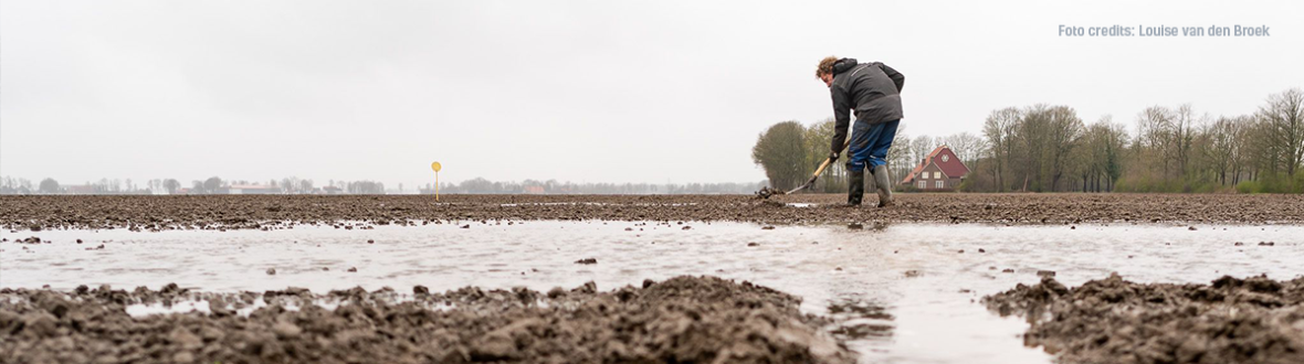 water overlast header
