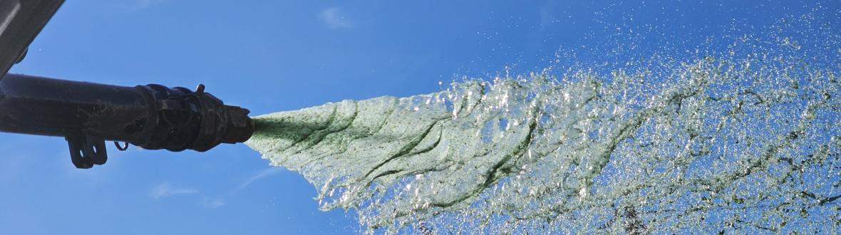 hydroseeding 