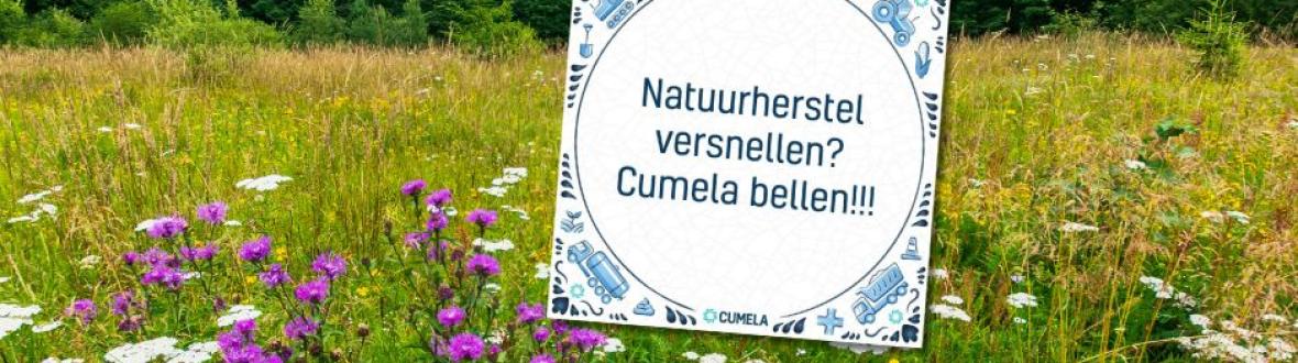 natuurherstel tegel
