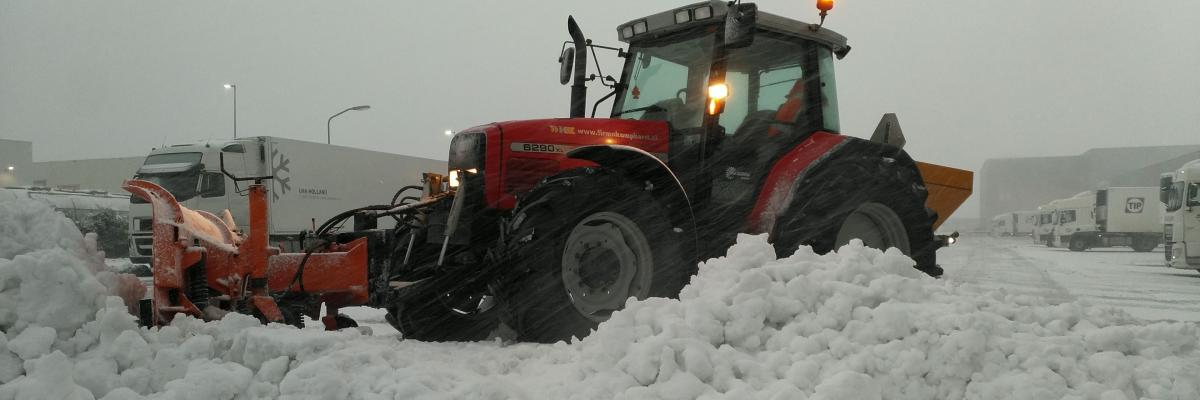 gladheidsbestrijding