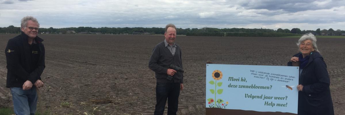 zonnebloemlint, Gerrit Boschloo