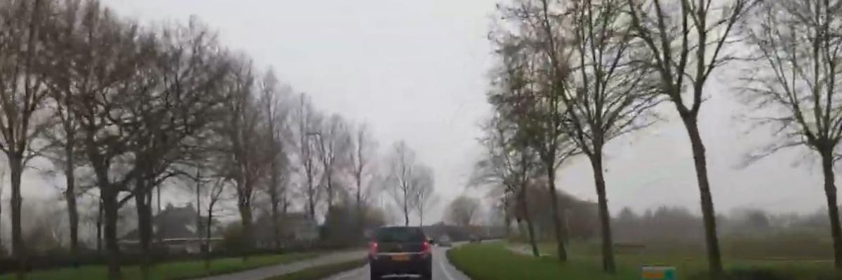 N484
