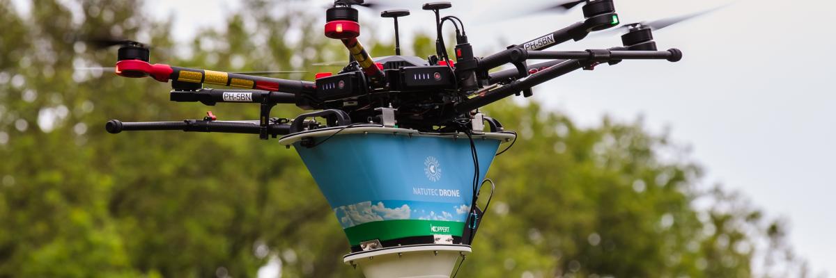 Eikenprocessierups bestrijden met drone