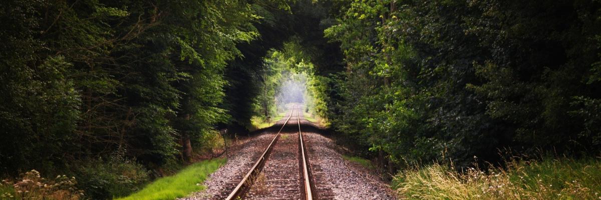 Trein