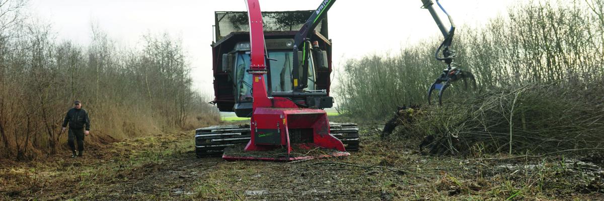 natuurontwikkeling