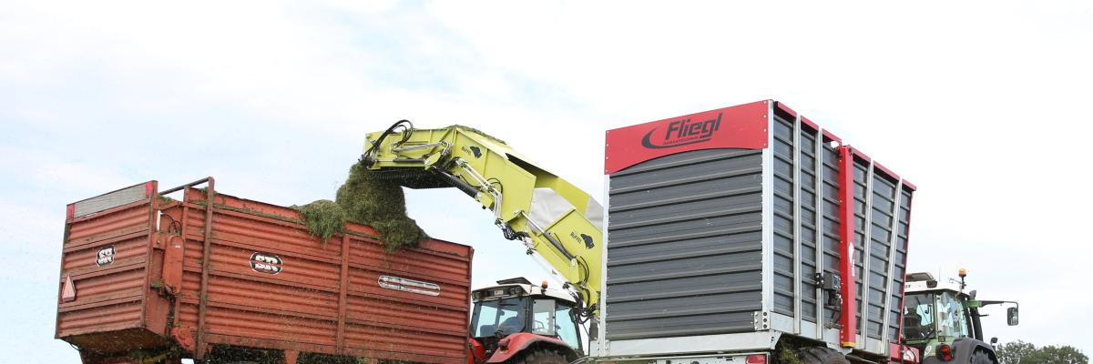 fliegl buffel