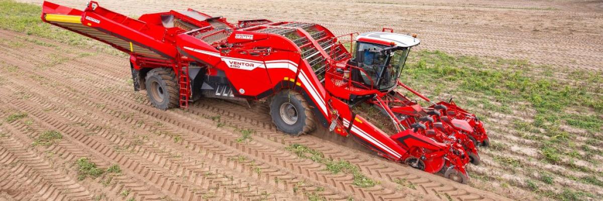 grimme Ventor rooier