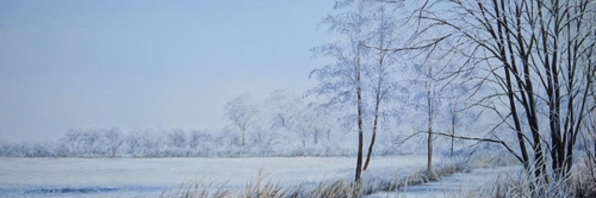 Bevroren weiland