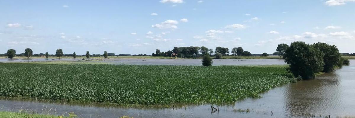 Wateroverlast Gelderland