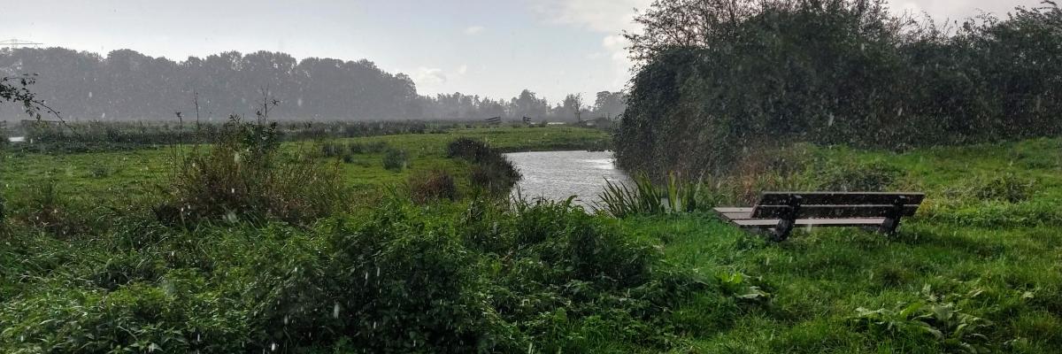 landschap
