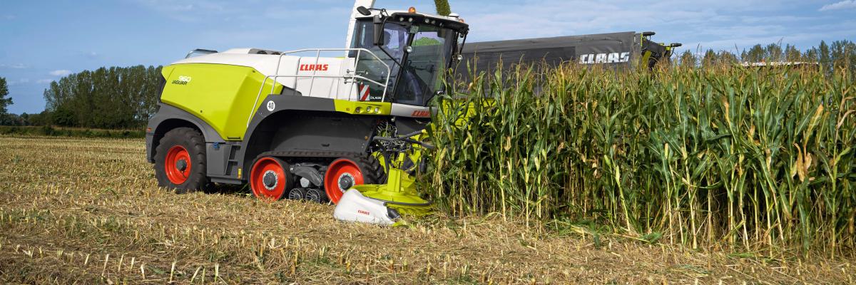 claas jaguar terratrac in de mais 