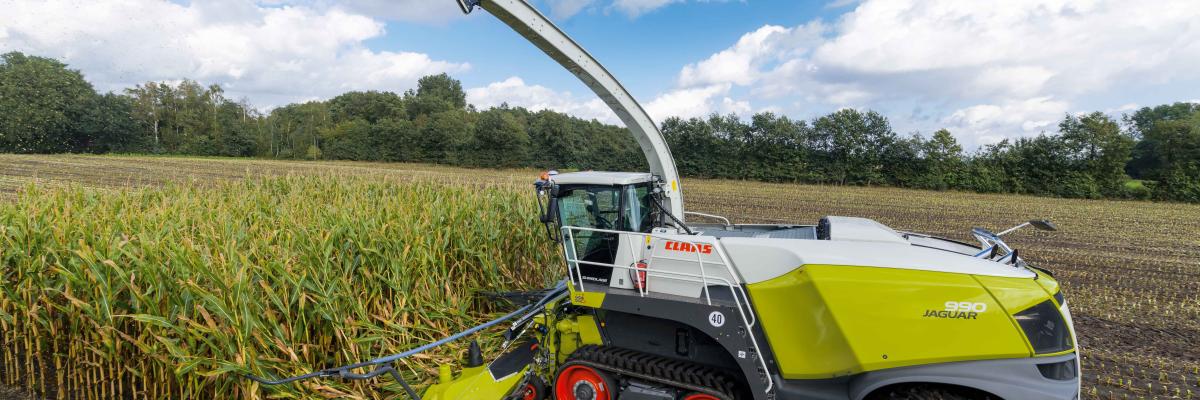 Claas Jaguar terratrac in de mais 