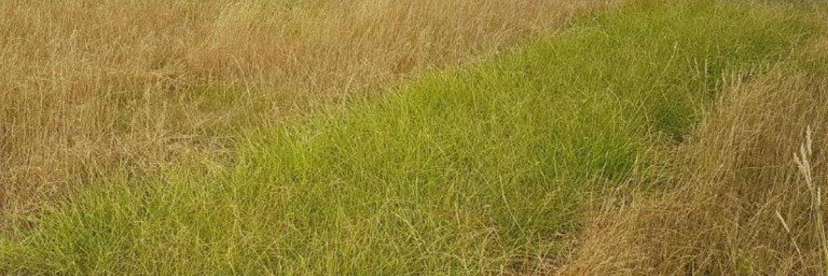 for farmers Topgrass hydro power 