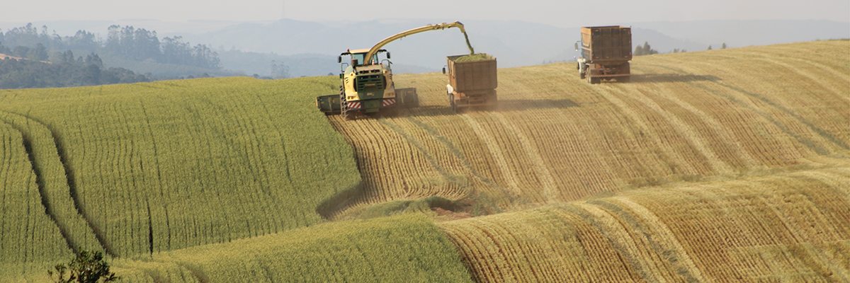 krone actiefoto brazilie 