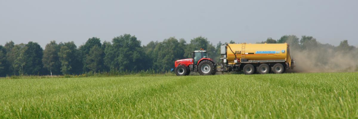 landschap
