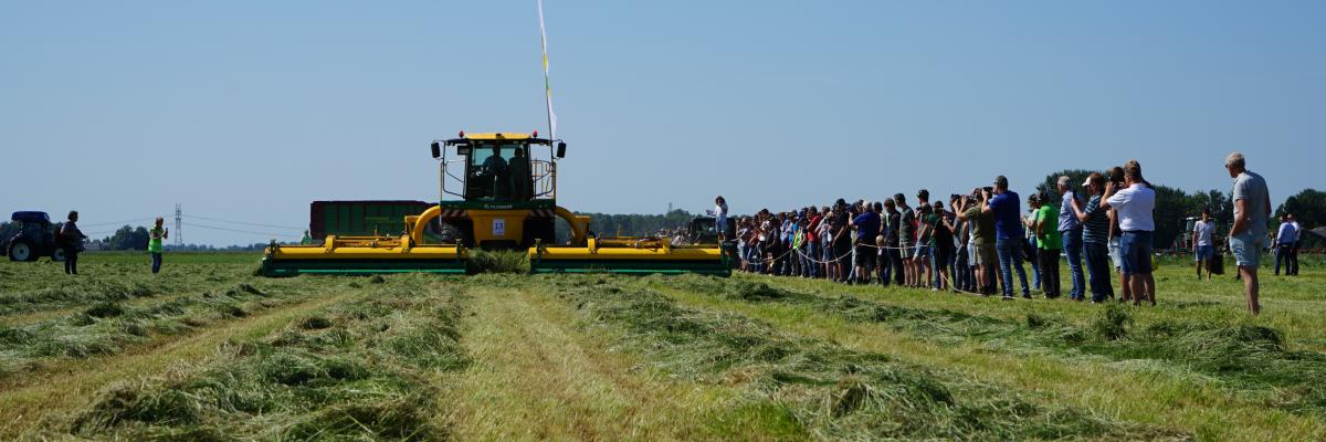 Grasdag hoofdplaat