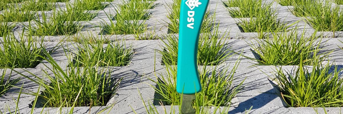 duurzaam grasdag