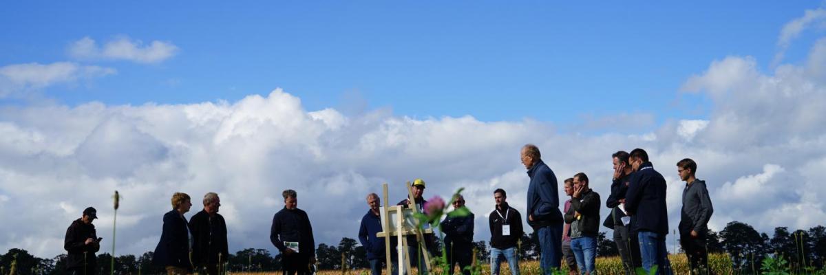 kruidenrijk grasland