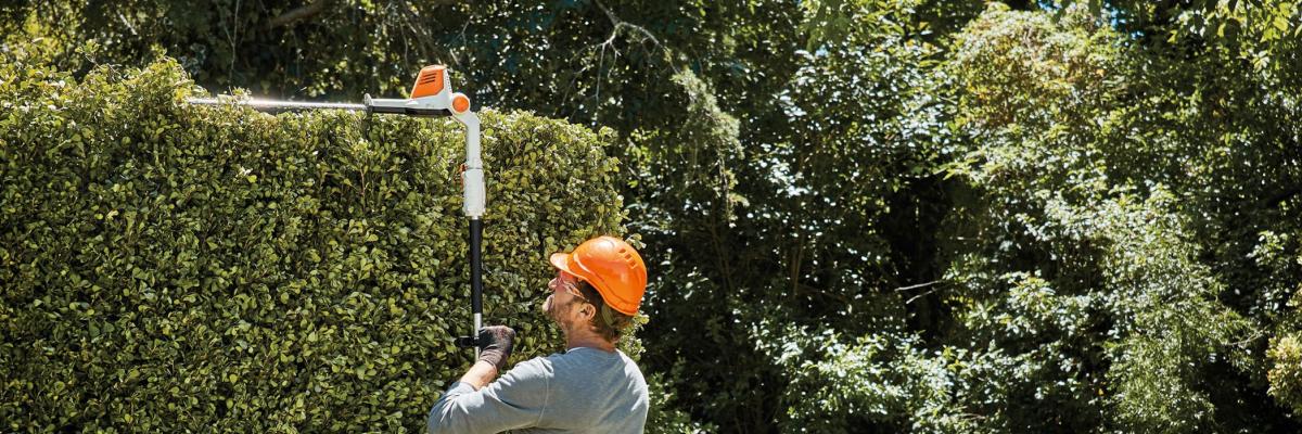 stihl accuheggenschaar