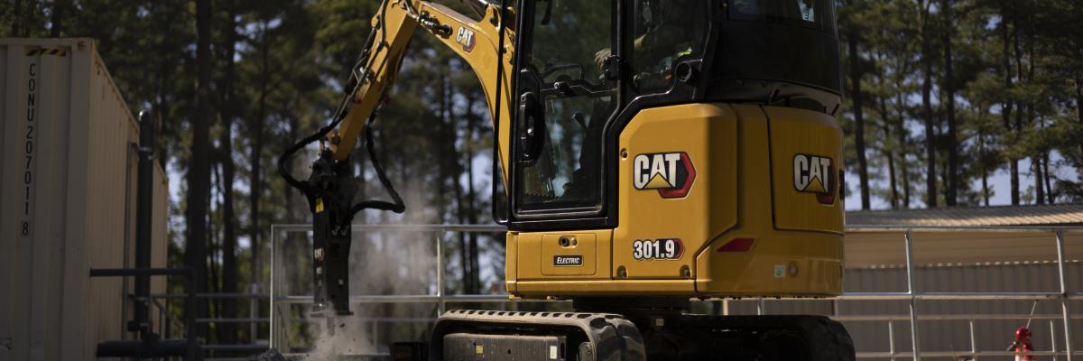 Cat header