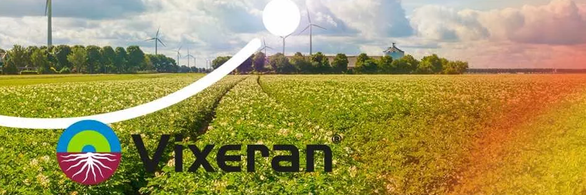 vixeran.png